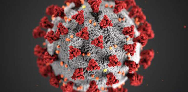 Miniaturka aktualności